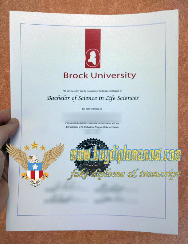 Brock University Fake Diploma The Best BUY Brock University Fake Diploma