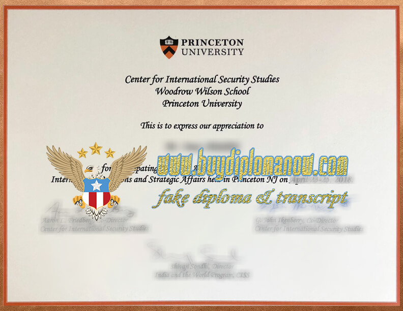 Purchase a Princeton University Fake Diploma Guides And Reports
