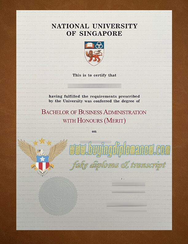 National University of Singapore fake degree