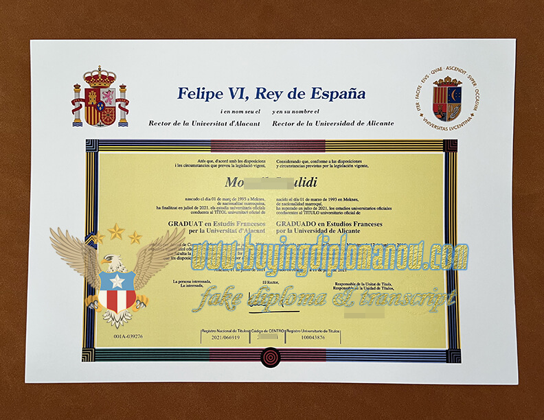 buy a University of Alicante fake degree