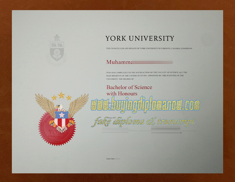 How to get a York University fake diploma 
