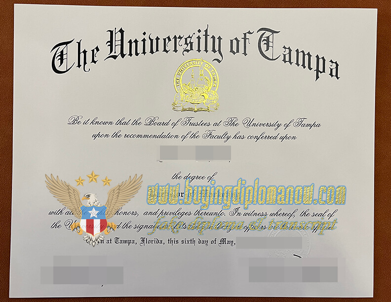hew to university of Tampa fake degree