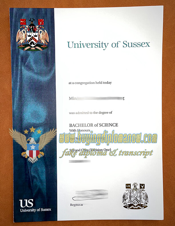 where to Fake University of Sussex degree