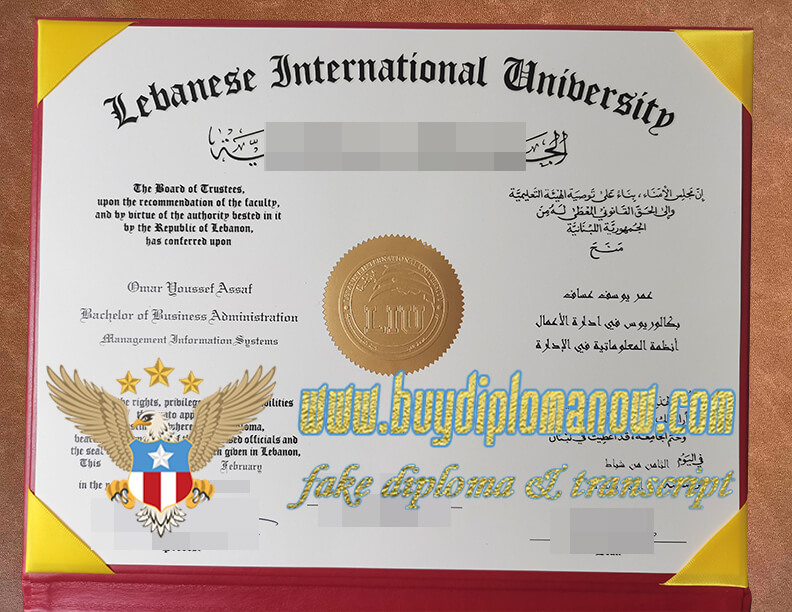 Lebanese University fake degree