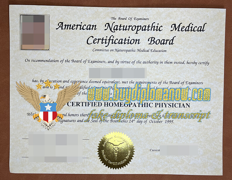 American Naturopathic Medical Certification Board fake certificate Make a American Naturopathic Medical Certification Board fake certificate