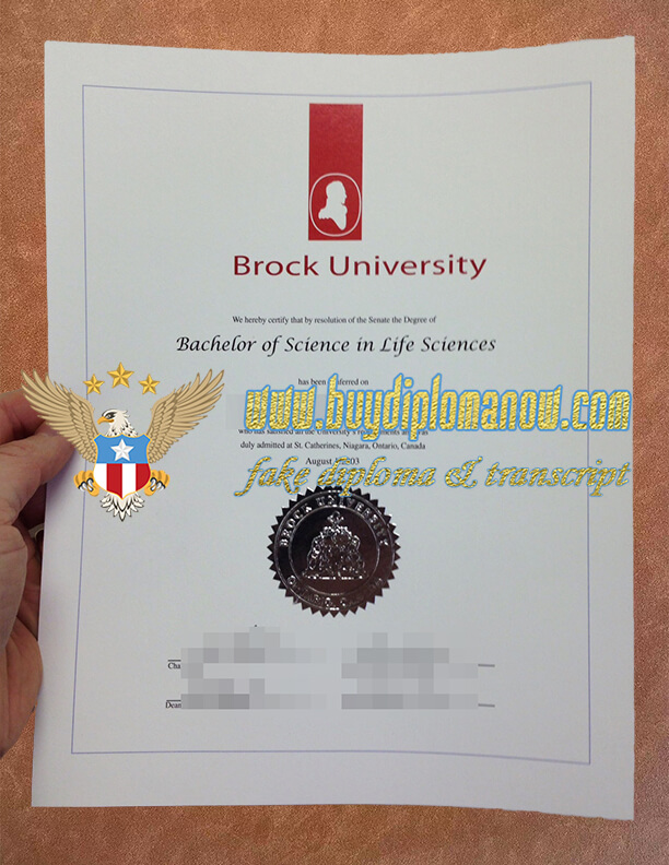 Order a Brock University fake diploma online Buy a Brock University fake diploma