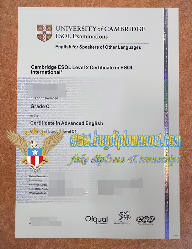 Quickly obtain CAE fake Certificate Order a CAE fake Certificate