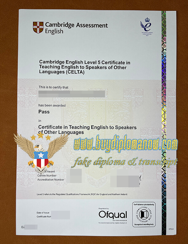 Where to get CAIE certificate and CAIE certification without exam CAIE certification