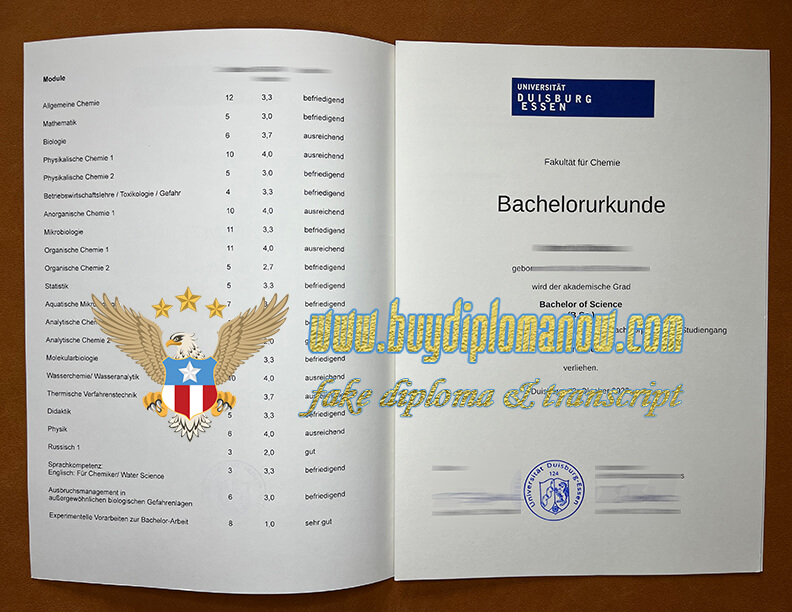 Order a University of Duisburg-Essen fake diploma