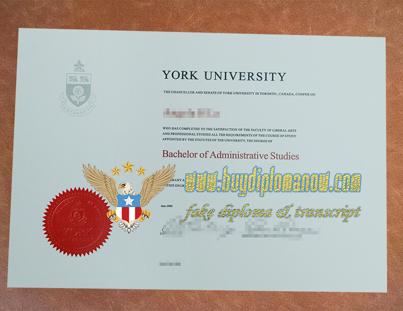 Succeed by earning a York University diploma York University degree