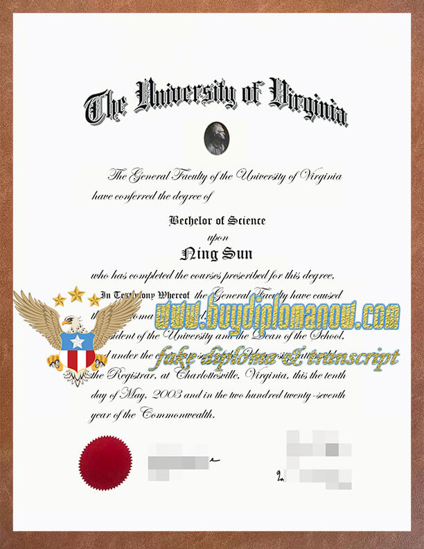University of Virginia degree