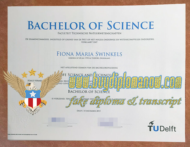 Make a TU Delft diploma