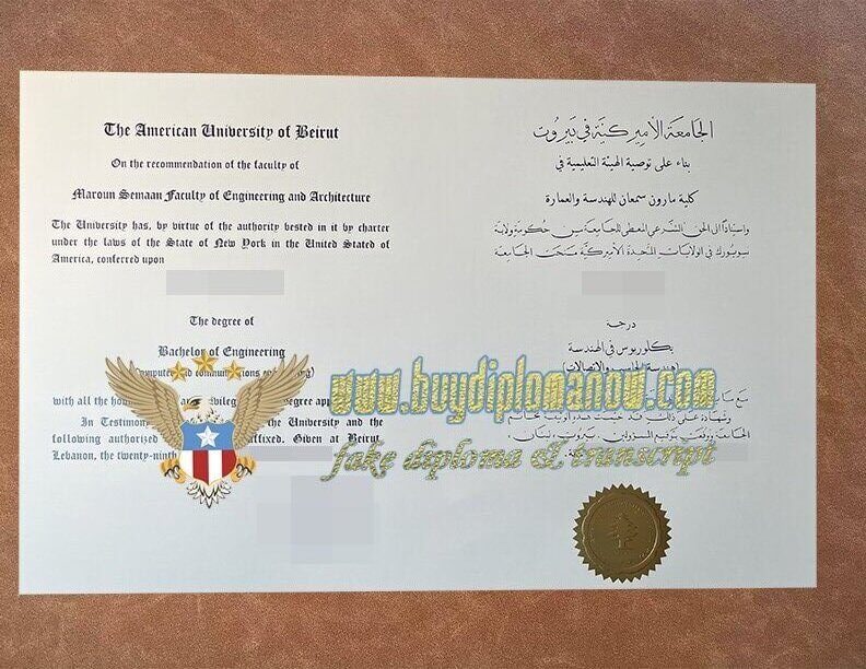 American University of Beirut degree