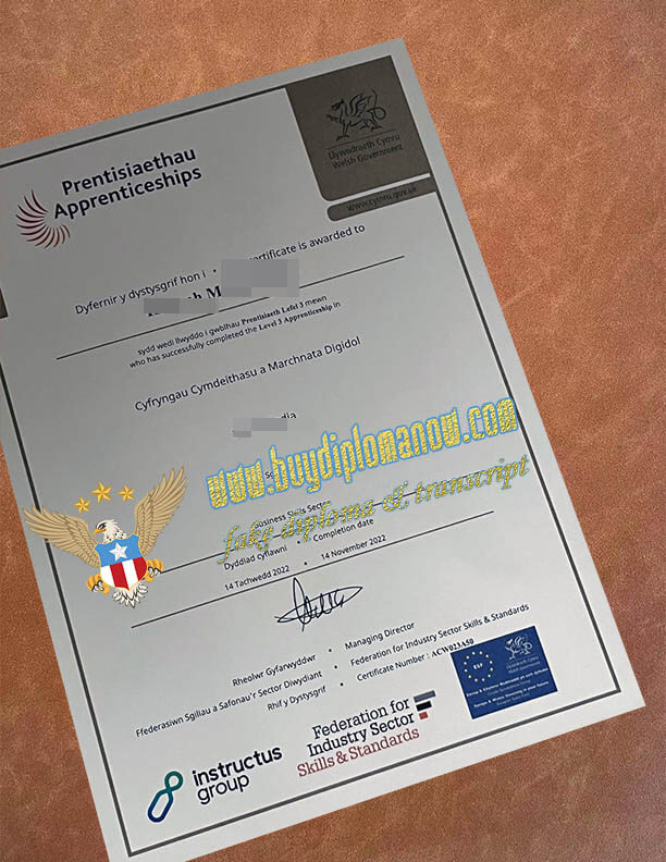 Apprenticeship Level 3: Pathways to Upskilling and Career Success How to Buy Apprenticeship Level 3 Certificate