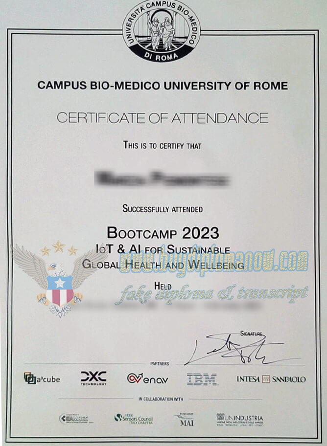 Obtain a Diploma from the Biomedical University of Rome in 2023
